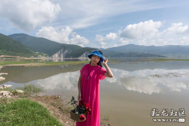 怎么考高级饲料配方师？有什么要求？难度如何？